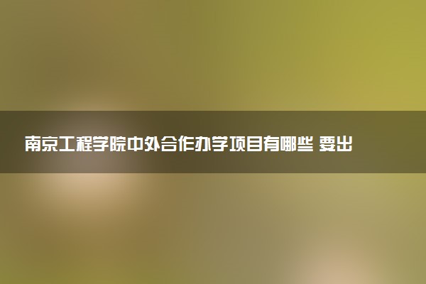 南京工程学院中外合作办学项目有哪些 要出国吗