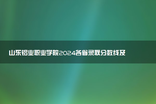 山东铝业职业学院2024各省录取分数线及最低位次是多少