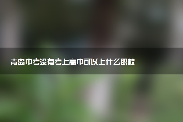 青岛中考没有考上高中可以上什么职校