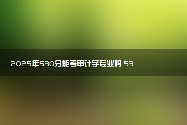 2025年530分能考审计学专业吗 530分审计学专业大学推荐