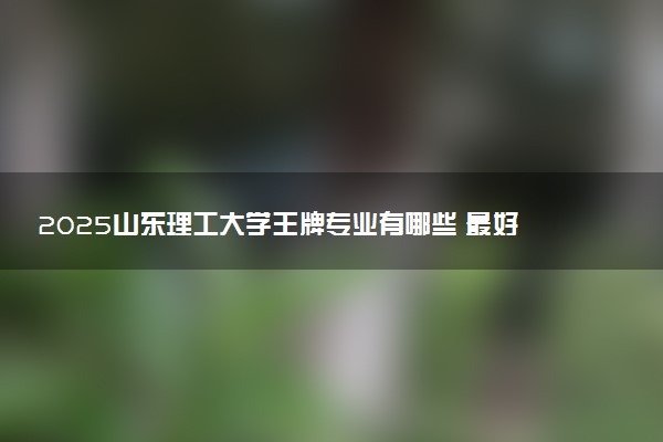 2025山东理工大学王牌专业有哪些 最好的专业是什么