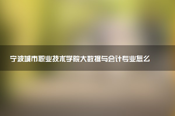 宁波城市职业技术学院大数据与会计专业怎么样 录取分数线多少