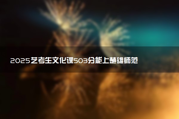 2025艺考生文化课503分能上楚雄师范学院吗