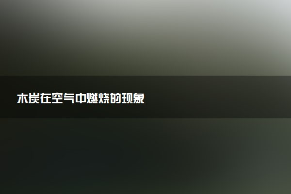 木炭在空气中燃烧的现象