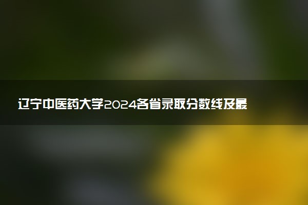 辽宁中医药大学2024各省录取分数线及最低位次是多少