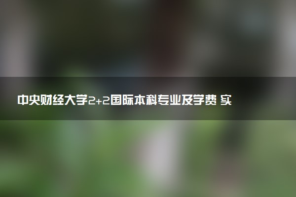 中央财经大学2+2国际本科专业及学费 实力怎么样