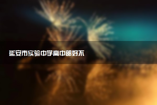 延安市实验中学高中部好不