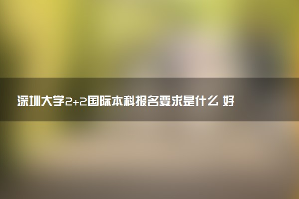 深圳大学2+2国际本科报名要求是什么 好考吗