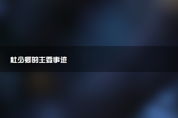杜少卿的主要事迹