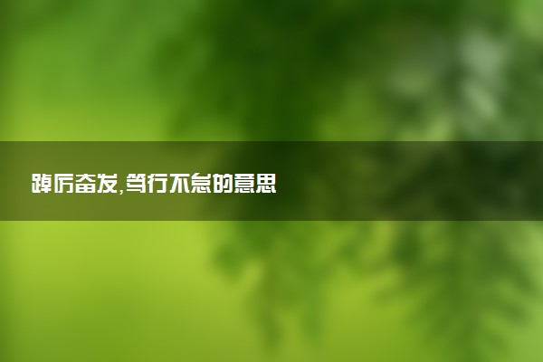 踔厉奋发,笃行不怠的意思