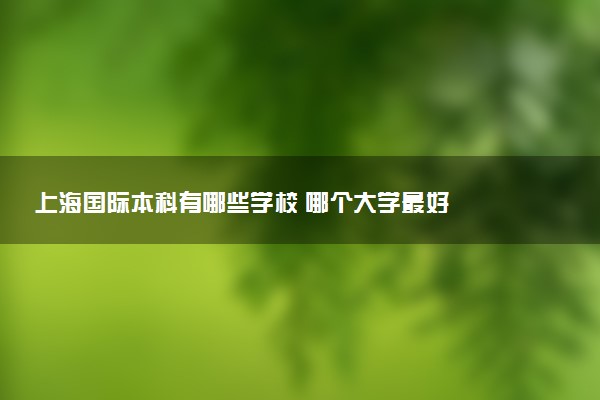 上海国际本科有哪些学校 哪个大学最好