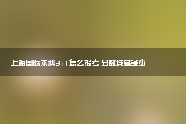 上海国际本科3+1怎么报考 分数线是多少