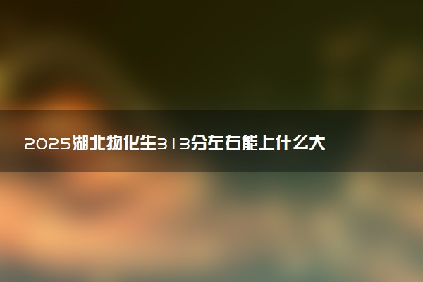 2025湖北物化生313分左右能上什么大学 可以报考的院校名单