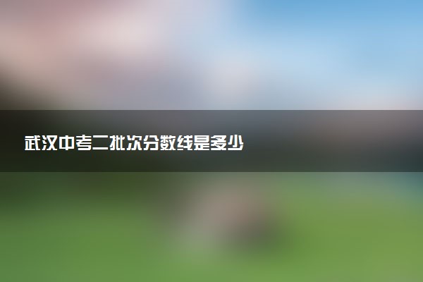 武汉中考二批次分数线是多少