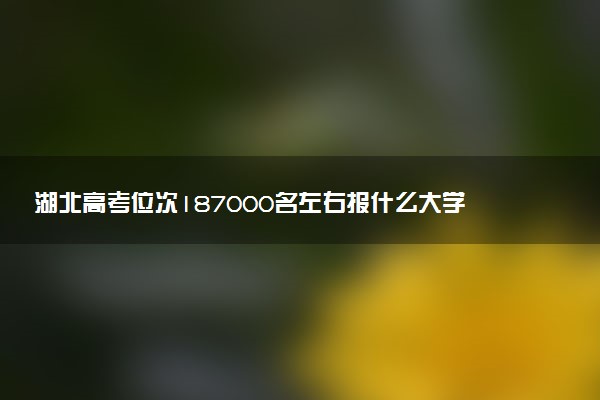 湖北高考位次187000名左右报什么大学好（2025年参考）