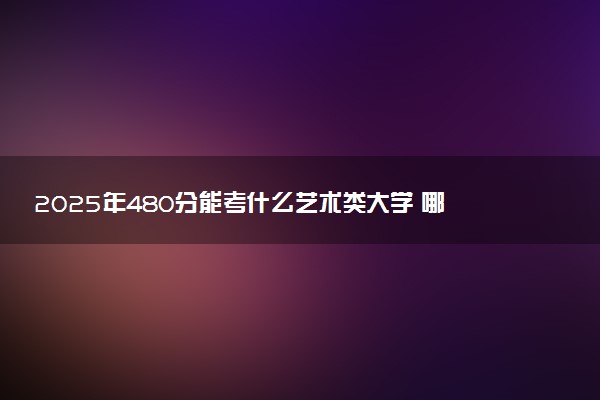 2025年480分能考什么艺术类大学 哪些大学值得报