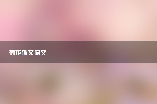 荷花课文原文