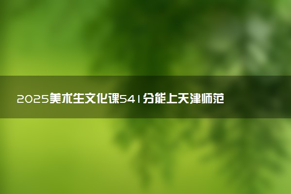 2025美术生文化课541分能上天津师范大学吗