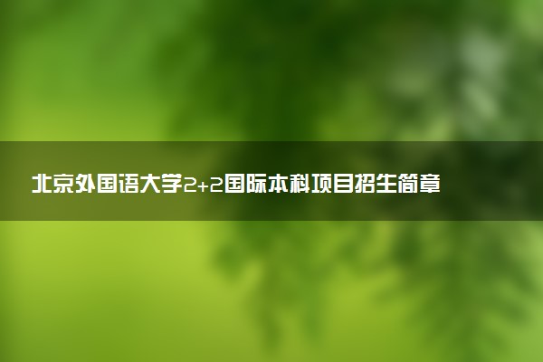 北京外国语大学2+2国际本科项目招生简章