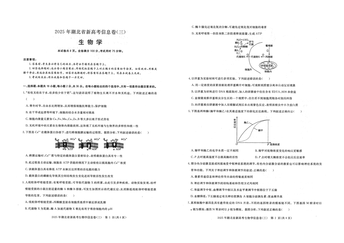 2025年湖北省新高考信息卷（三）生物试题及答案