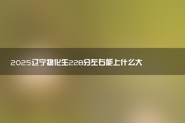 2025辽宁物化生228分左右能上什么大学 可以报考的院校名单