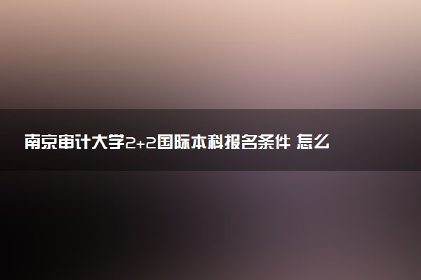 南京审计大学2+2国际本科报名条件 怎么申请