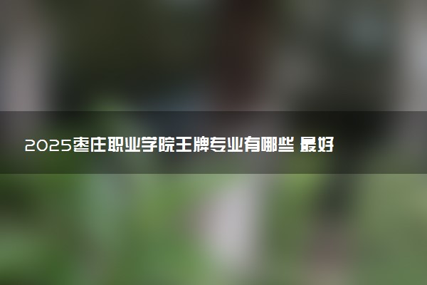 2025枣庄职业学院王牌专业有哪些 最好的专业是什么