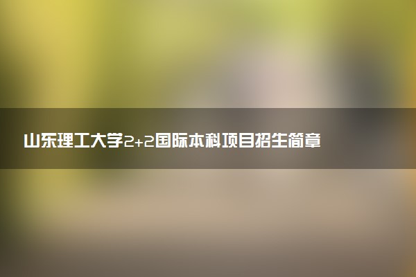 山东理工大学2+2国际本科项目招生简章
