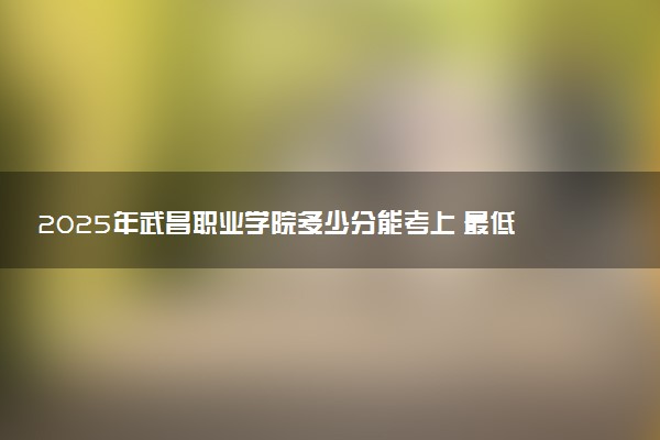 2025年武昌职业学院多少分能考上 最低分及位次