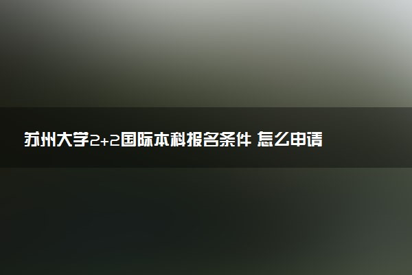 苏州大学2+2国际本科报名条件 怎么申请