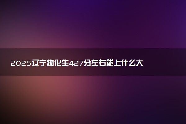 2025辽宁物化生427分左右能上什么大学 可以报考的院校名单