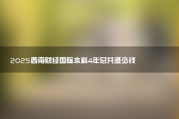 2025西南财经国际本科4年总共多少钱 这项目就业怎么样