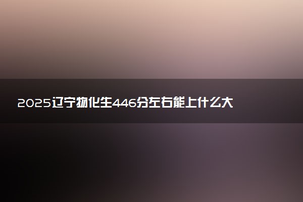 2025辽宁物化生446分左右能上什么大学 可以报考的院校名单
