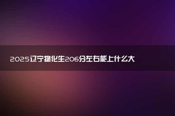 2025辽宁物化生206分左右能上什么大学 可以报考的院校名单