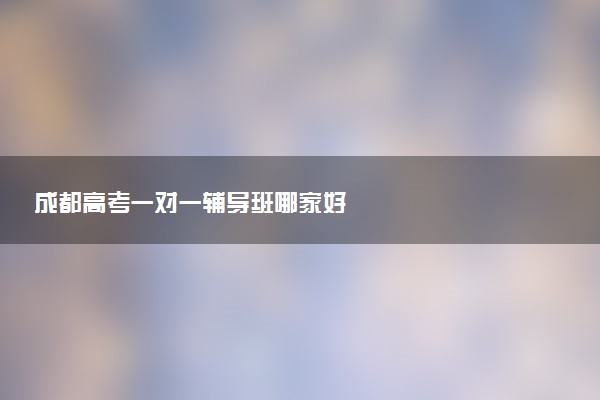 成都高考一对一辅导班哪家好