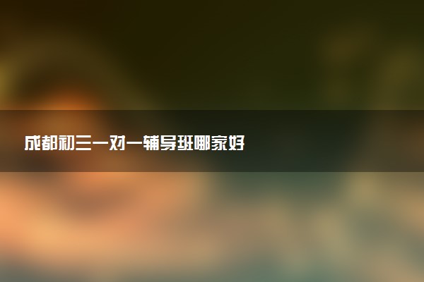 成都初三一对一辅导班哪家好