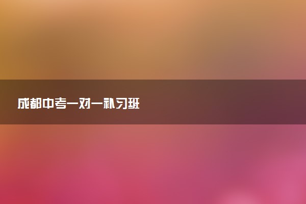成都中考一对一补习班