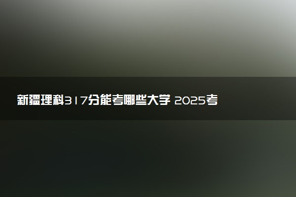 新疆理科317分能考哪些大学 2025考生稳上的大学名单