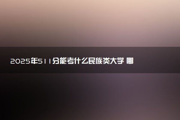 2025年511分能考什么民族类大学 哪些大学值得报