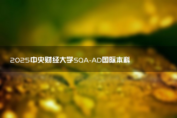 2025中央财经大学SQA-AD国际本科收费标准 一年学费多少