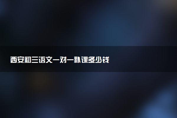 西安初三语文一对一补课多少钱