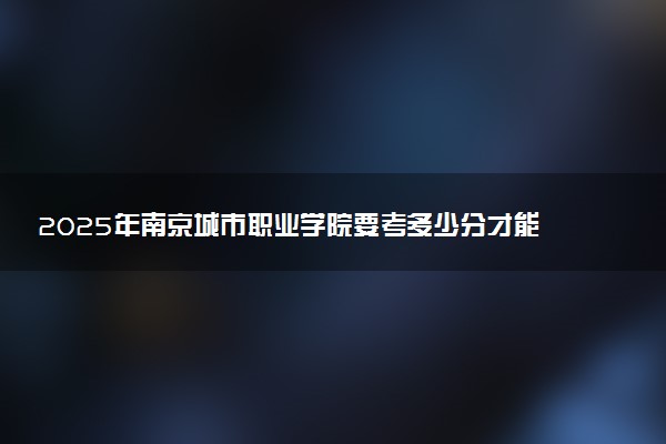 2025年南京城市职业学院要考多少分才能上?历年录取分数线及报考指南(含预测)