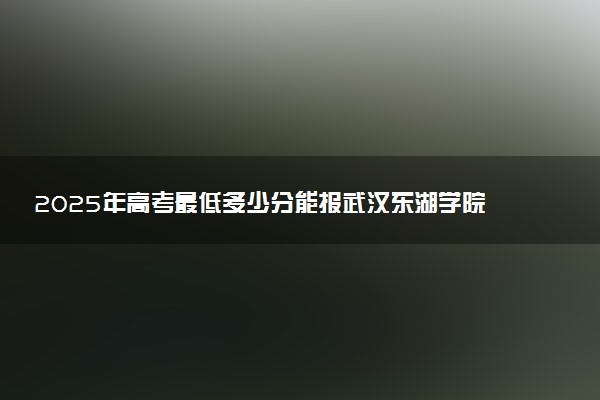 2025年高考最低多少分能报武汉东湖学院？附武汉东湖学院历年录取分数线及位次