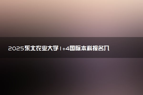 2025东北农业大学1+4国际本科报名入口 怎么报考