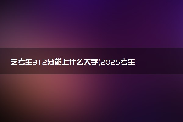 艺考生312分能上什么大学（2025考生参考）