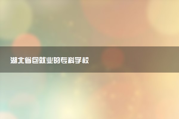湖北省包就业的专科学校