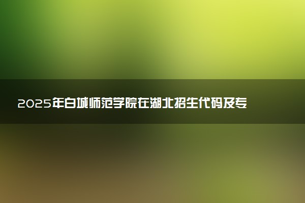 2025年白城师范学院在湖北招生代码及专业代码 白城师范学院湖北代码是多少？怎么查询？