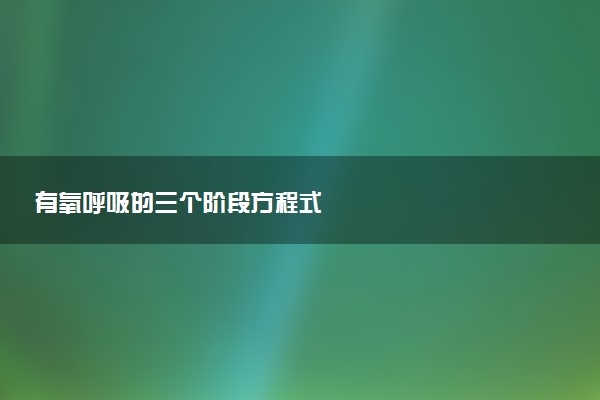 有氧呼吸的三个阶段方程式