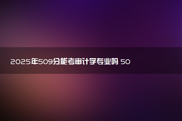 2025年509分能考审计学专业吗 509分审计学专业大学推荐