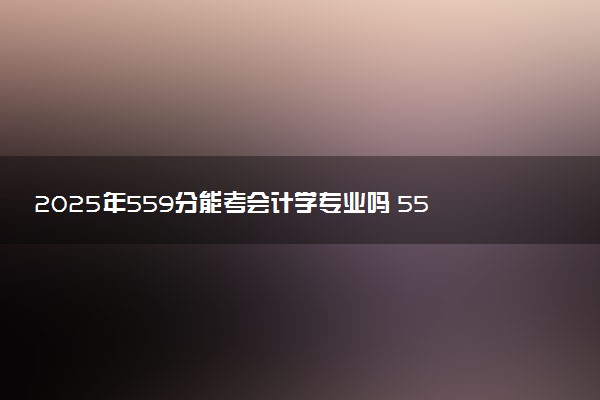 2025年559分能考会计学专业吗 559分会计学专业大学推荐